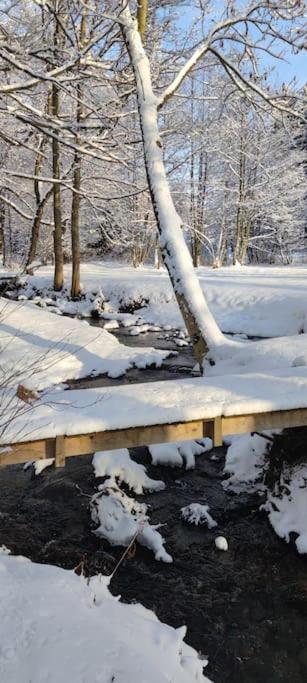 Chatky u potoka, Olešnice v Orlických horách Esterno foto
