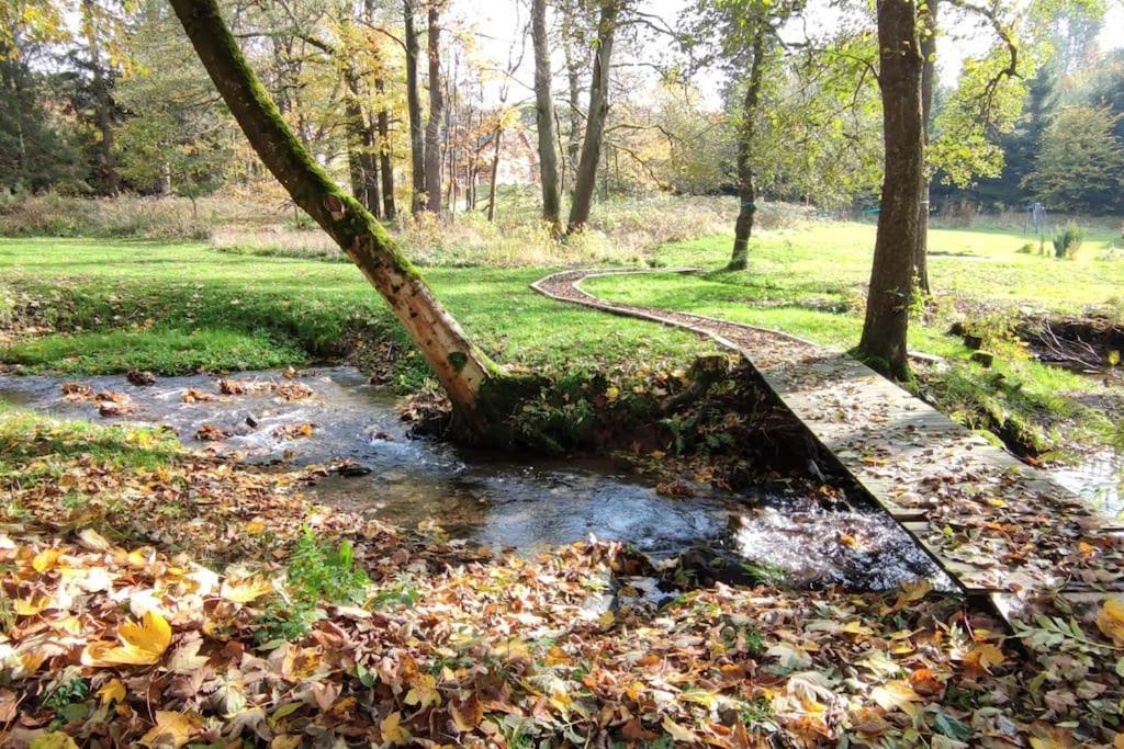 Chatky u potoka, Olešnice v Orlických horách Esterno foto